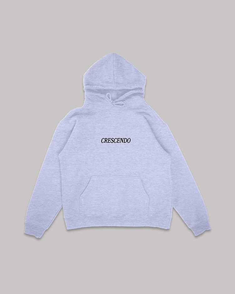 ATTENTION CURRENCY GRAY HOODIE