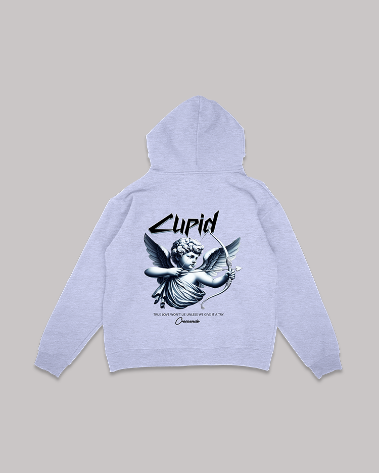 CUPID DOESNT LIE GRAY HOODIE