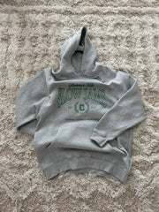 SUMMER SLOW JAMS GRAY HOODIE