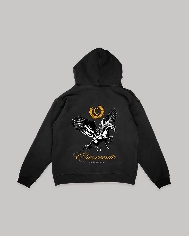 SOAR WITHOUT LIMITS BLACK HOODIE COPPER FONT