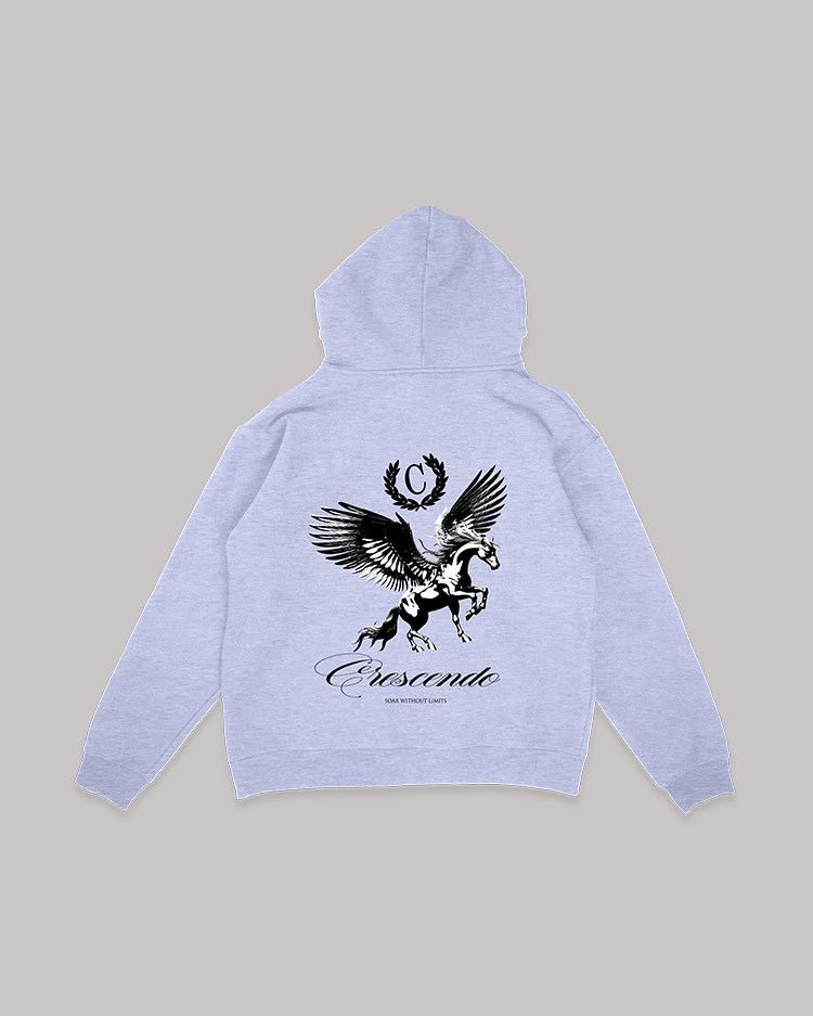 SOAR WITHOUT LIMITS GRAY HOODIE BLACK FONT