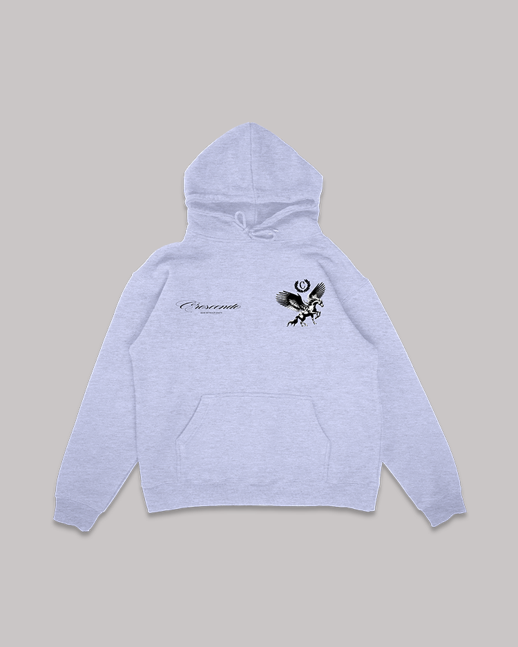 SOAR WITHOUT LIMITS GRAY HOODIE BLACK FONT