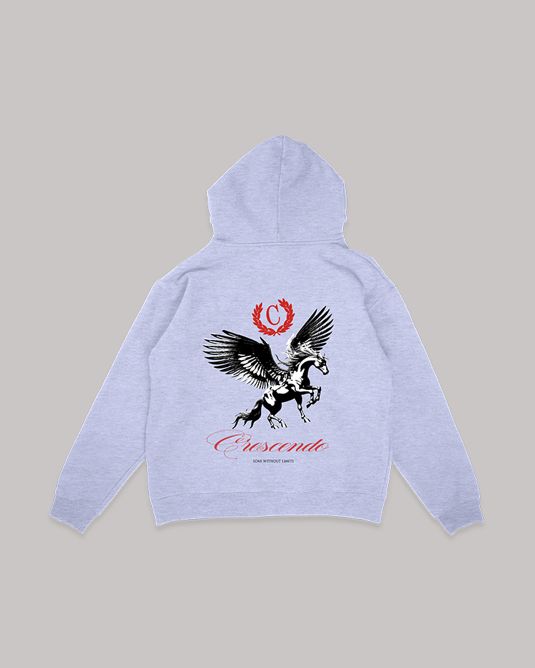 SOAR WITHOUT LIMITS GRAY HOODIE RED FONT