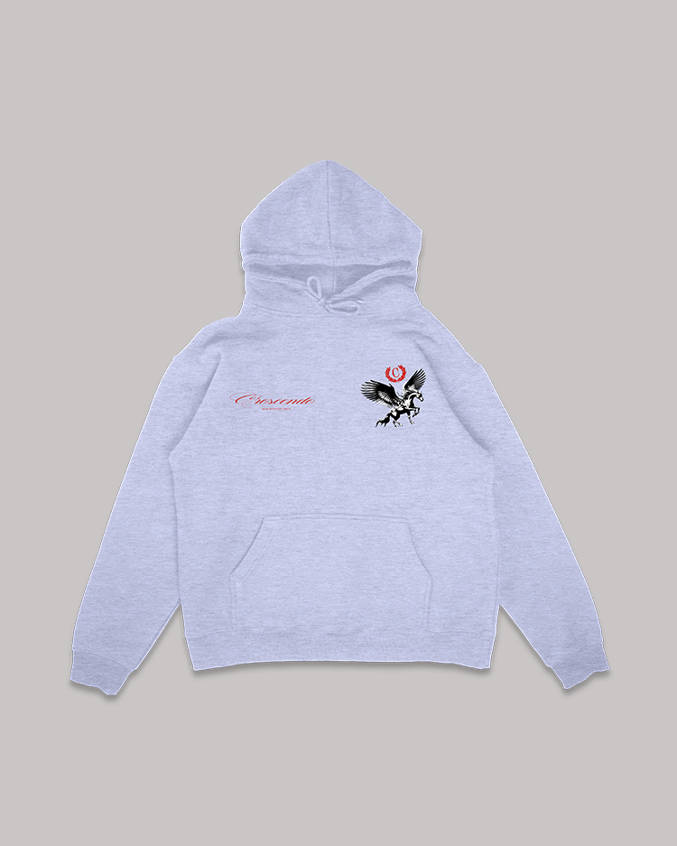 SOAR WITHOUT LIMITS GRAY HOODIE RED FONT